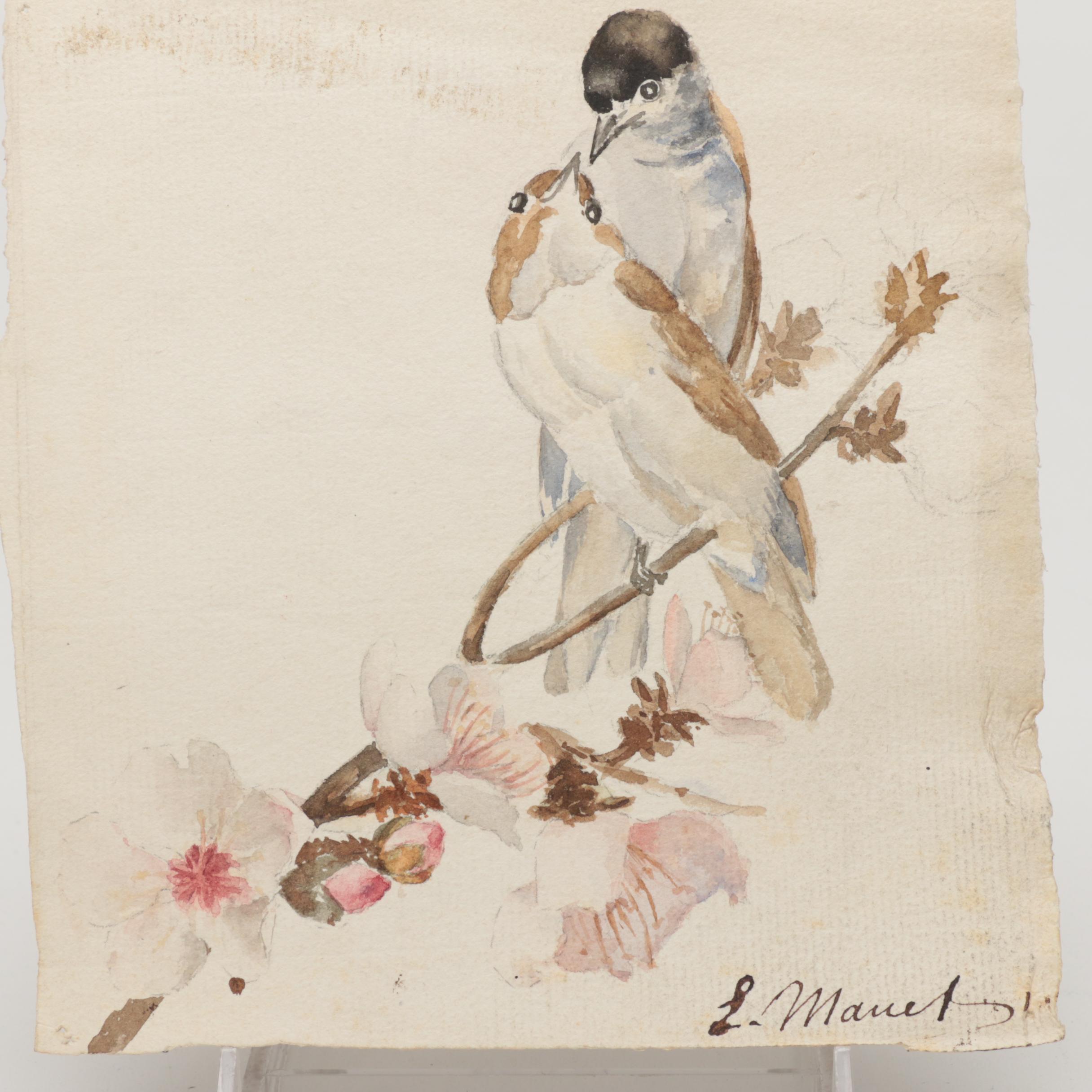 L. Manet Watercolor Painting on Laid Paper of Birds