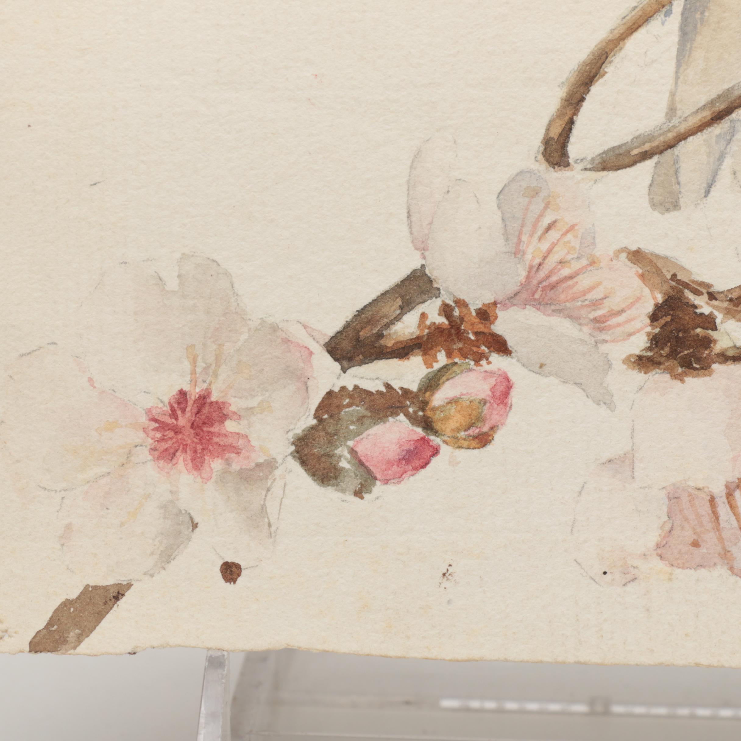 L. Manet Watercolor Painting on Laid Paper of Birds