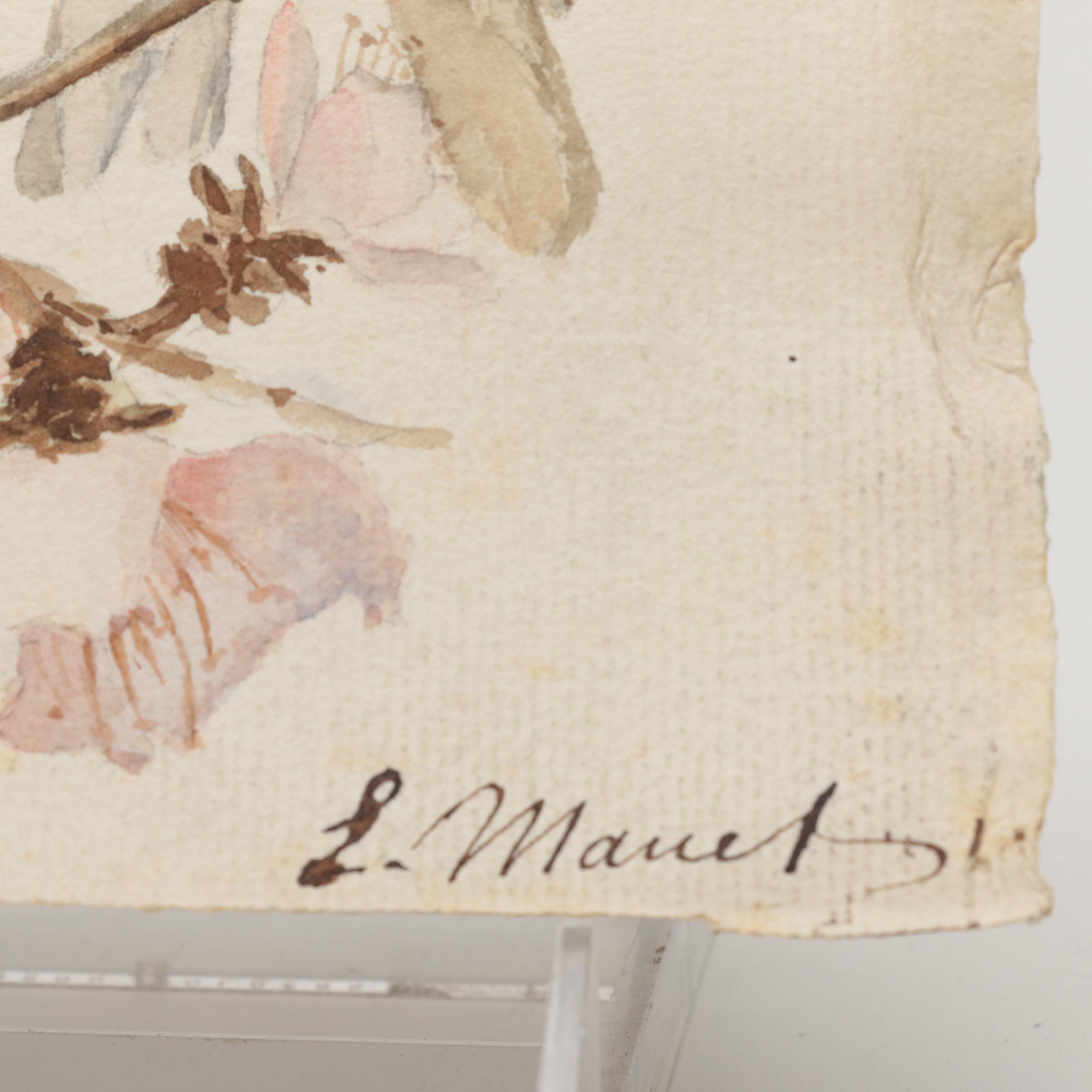 L. Manet Watercolor Painting on Laid Paper of Birds