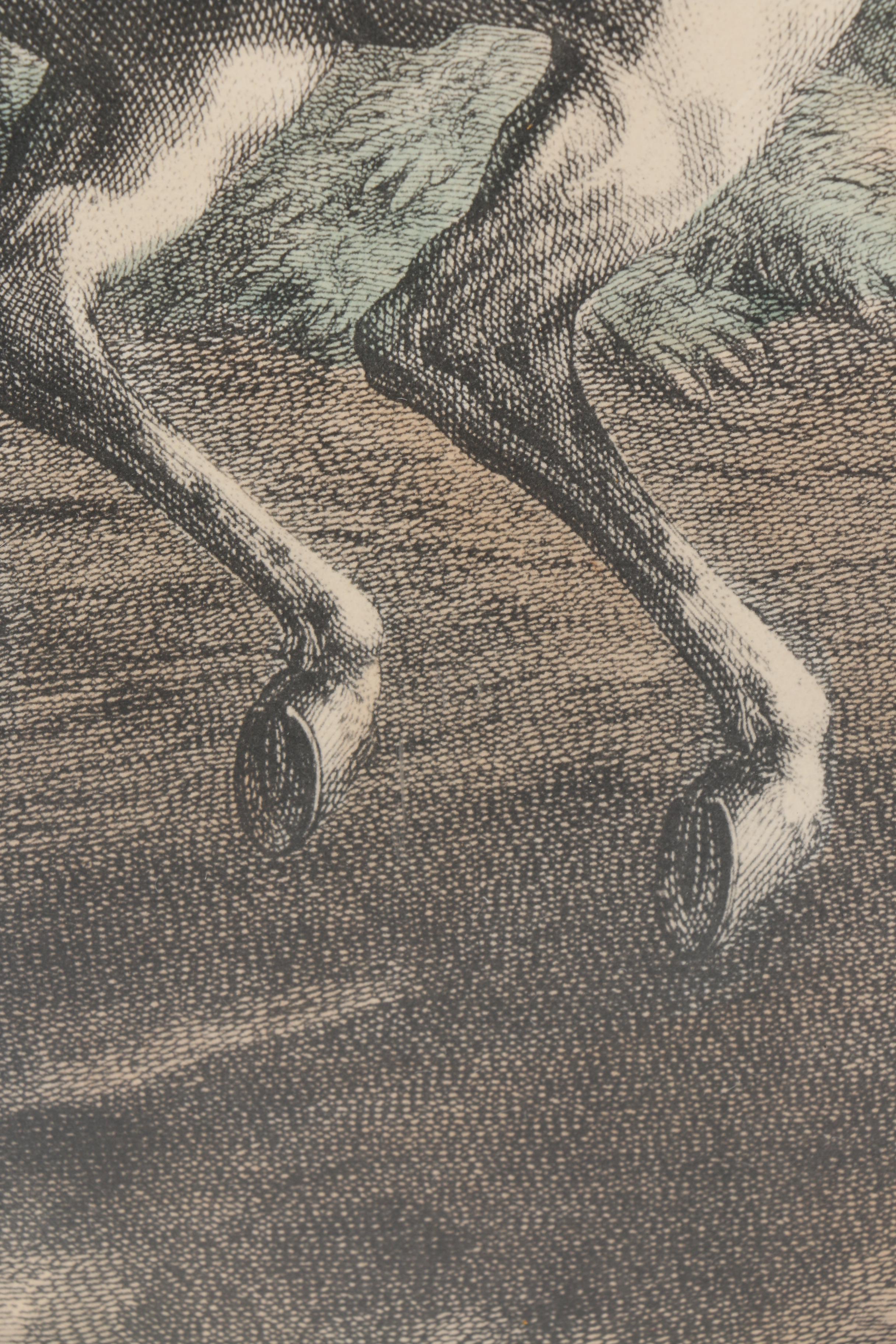 Pair of Johann Elias Ridinger Restrike Engravings