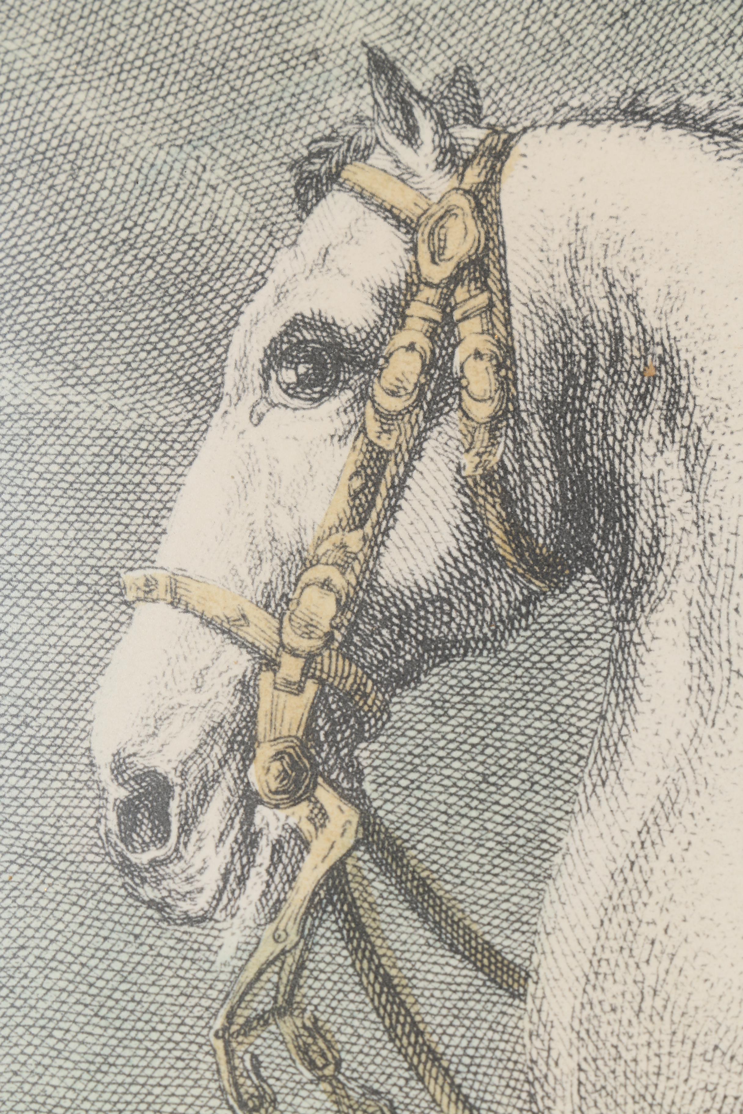 Pair of Johann Elias Ridinger Restrike Engravings