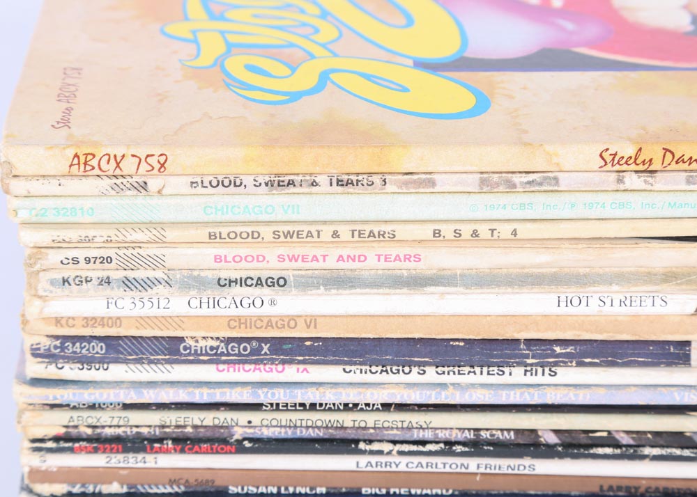 Steely Dan, Chicago, Blood Sweat and Tears, Other LPs