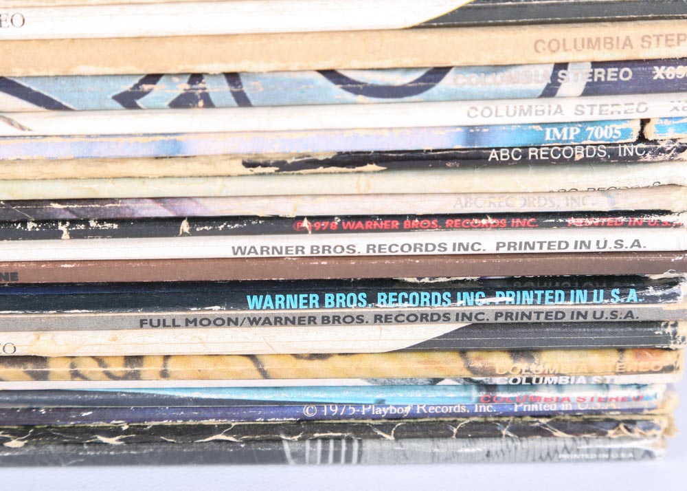 Steely Dan, Chicago, Blood Sweat and Tears, Other LPs