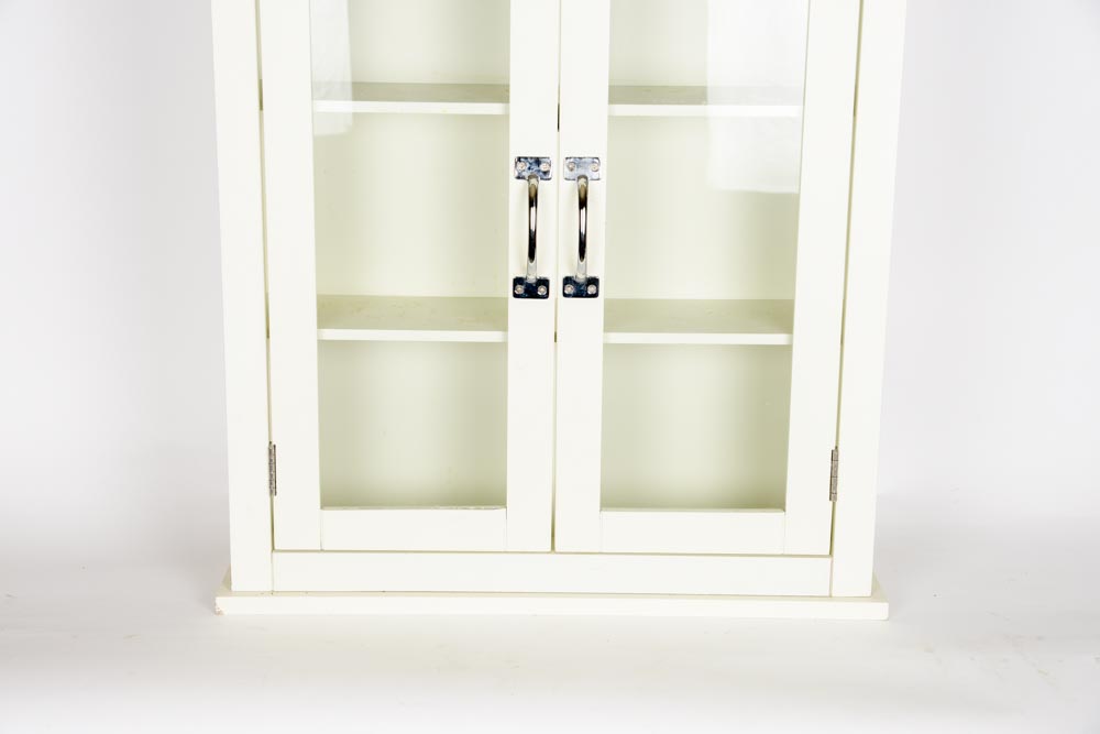 Contemporary Glazed-Door Wall Cabinet