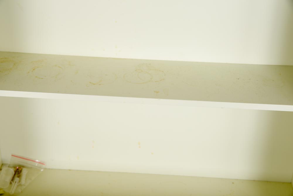 Contemporary Glazed-Door Wall Cabinet