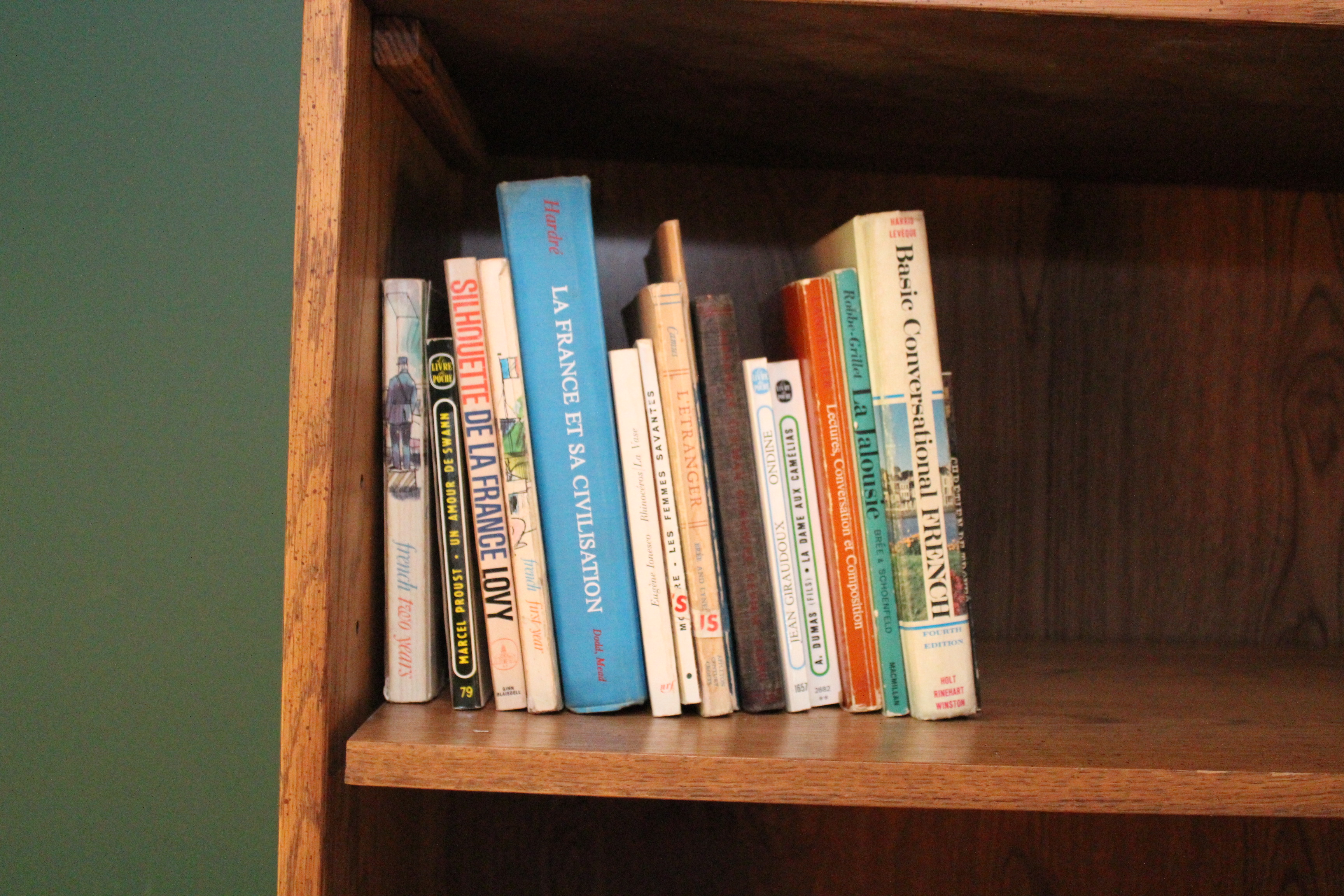 French Grammar and Literature Books