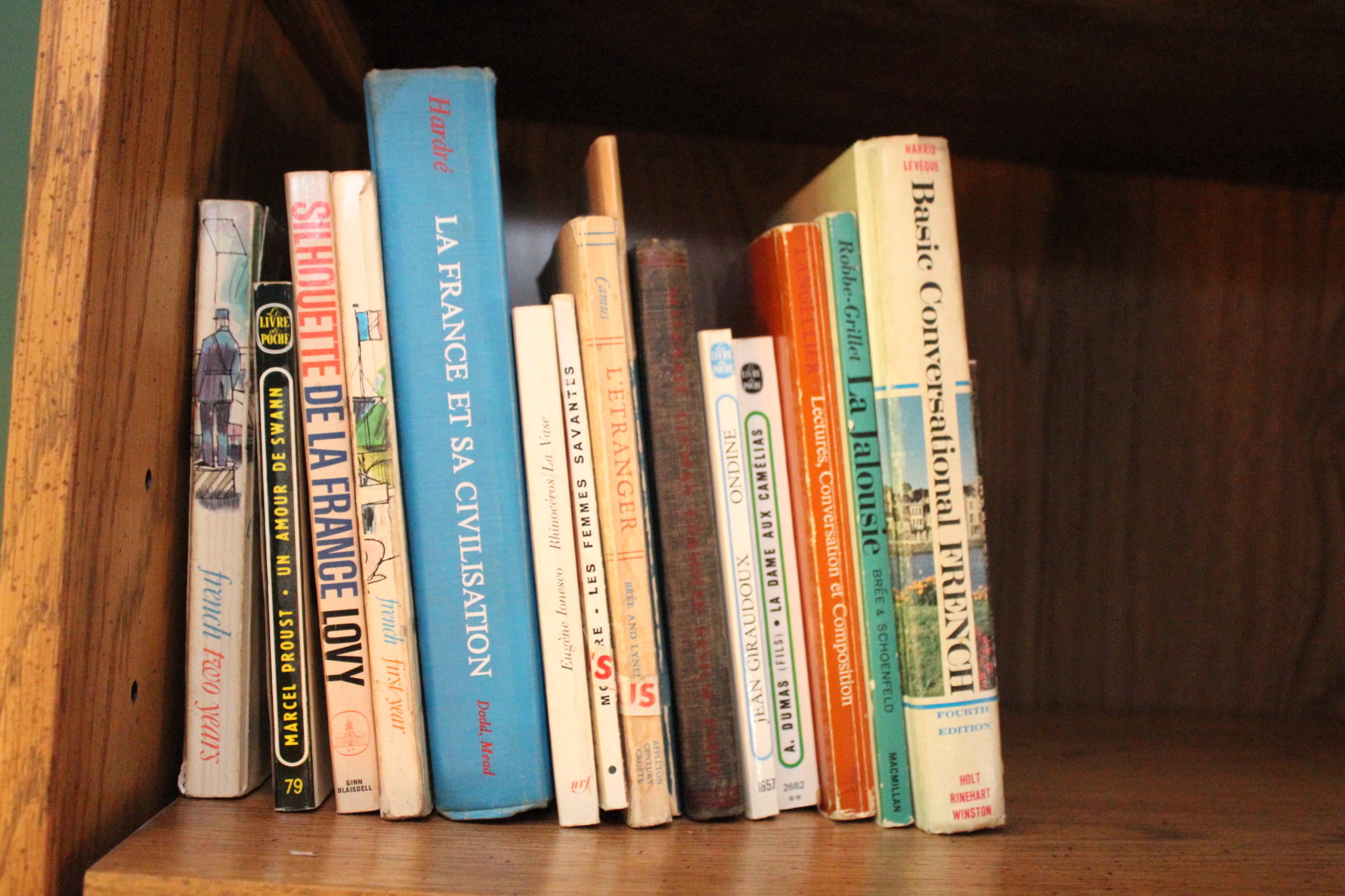 French Grammar and Literature Books