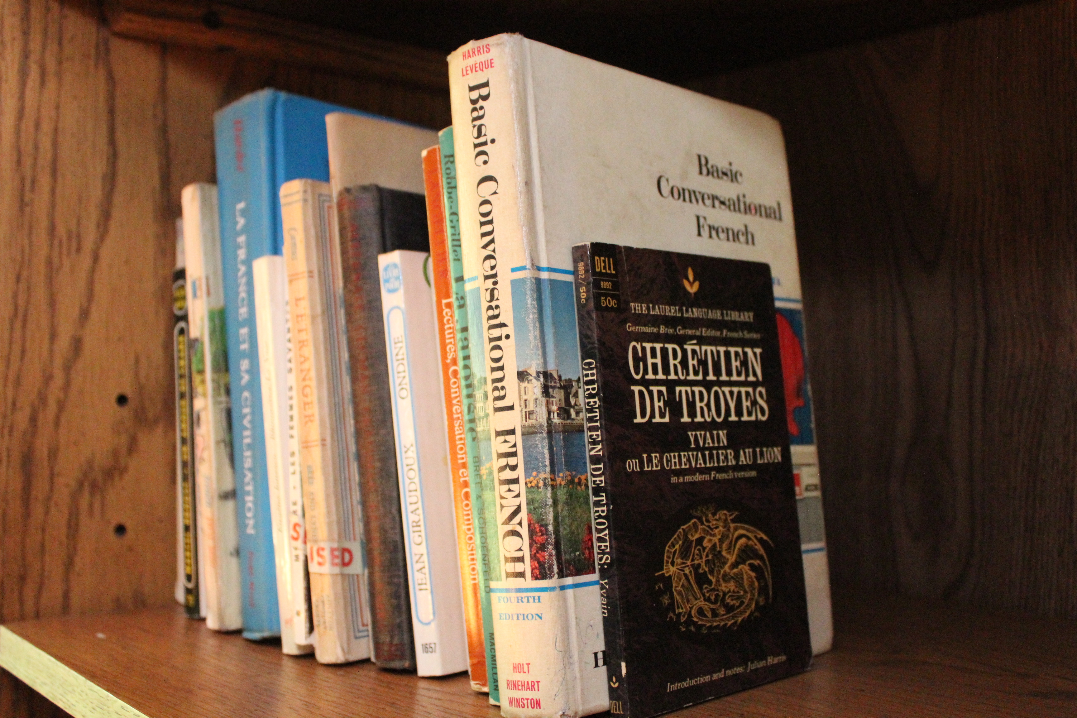 French Grammar and Literature Books