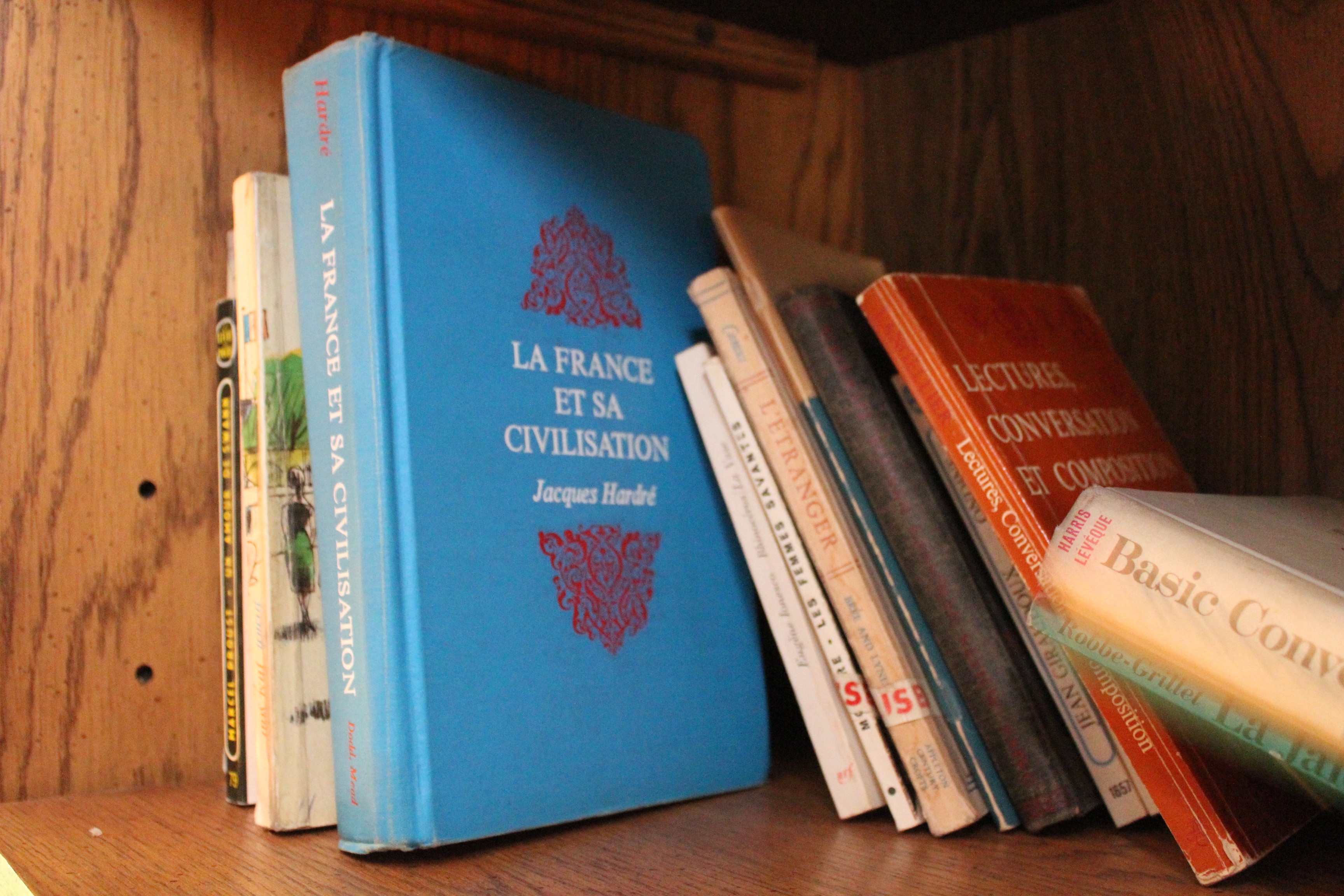 French Grammar and Literature Books