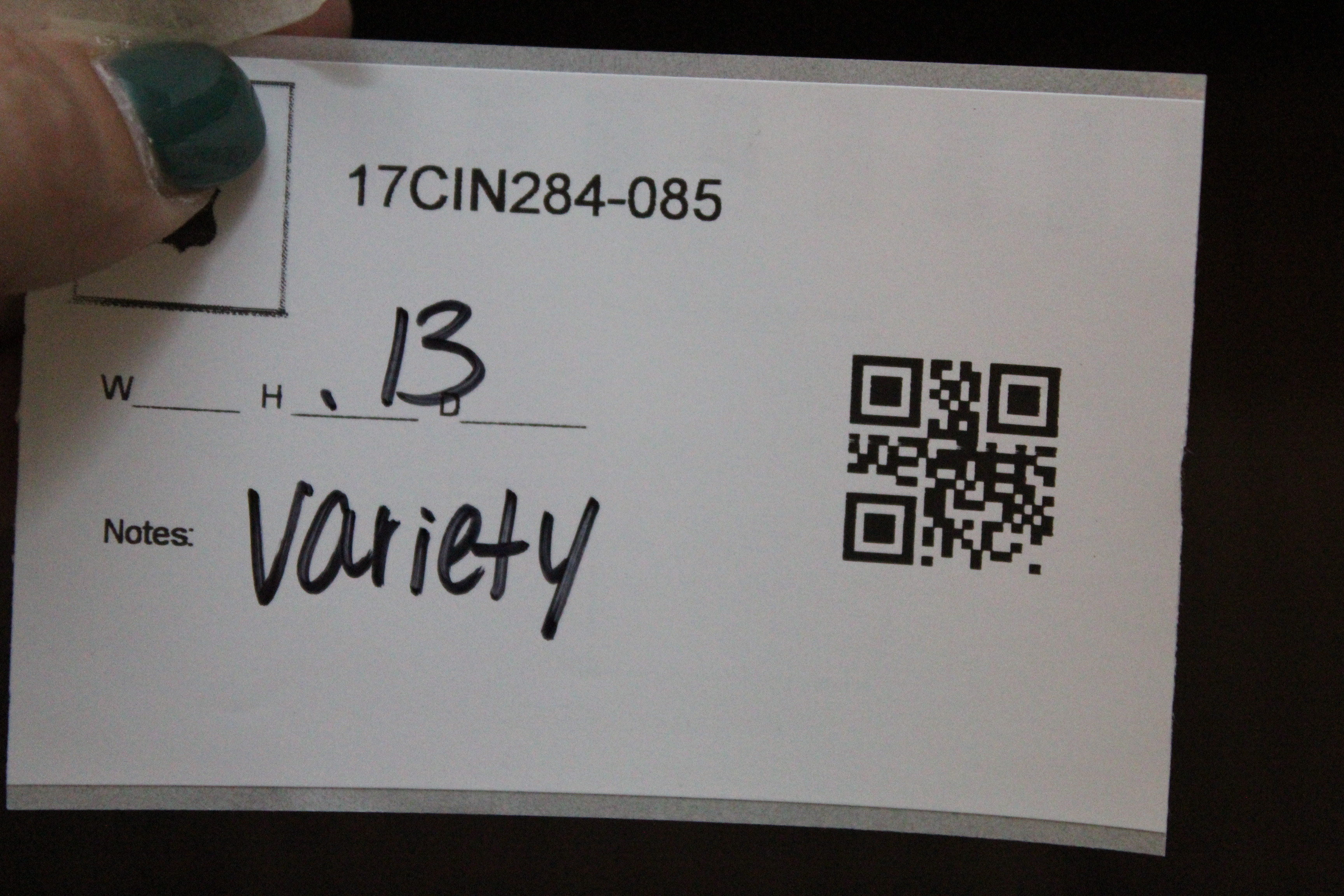 Children's Student Workbooks