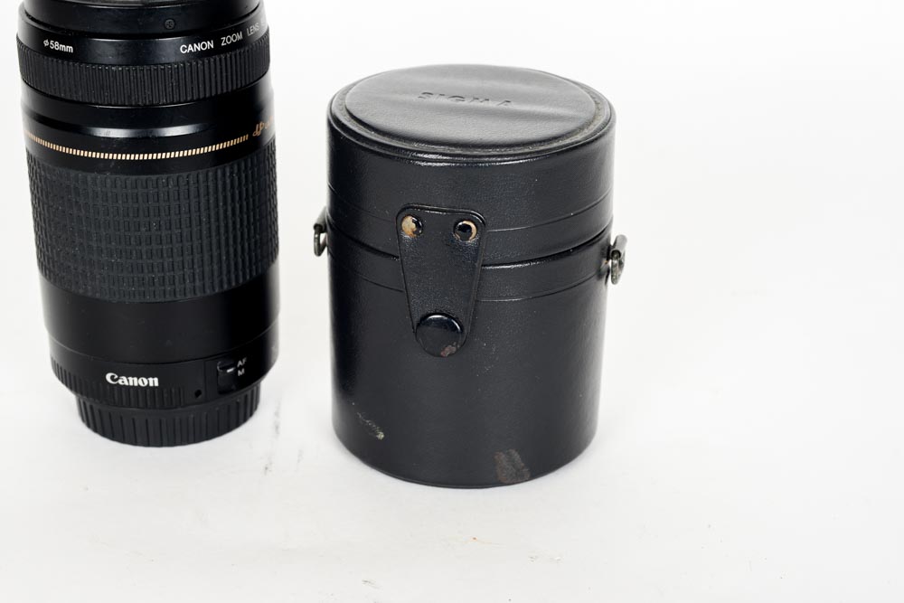 Sigma and Canon Lenses
