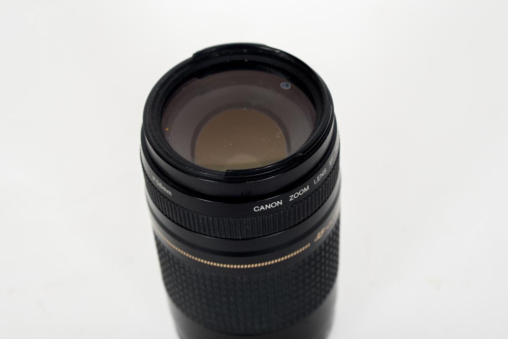 Sigma and Canon Lenses