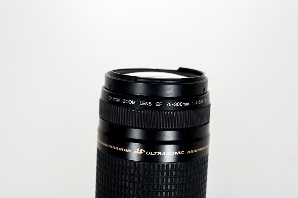 Sigma and Canon Lenses