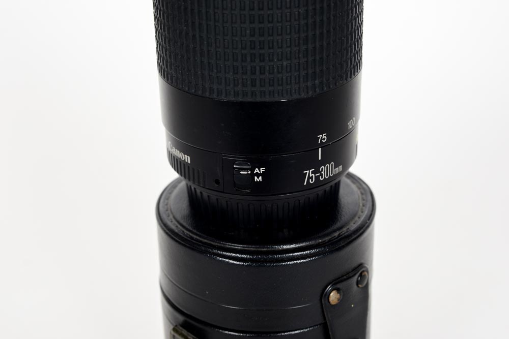 Sigma and Canon Lenses
