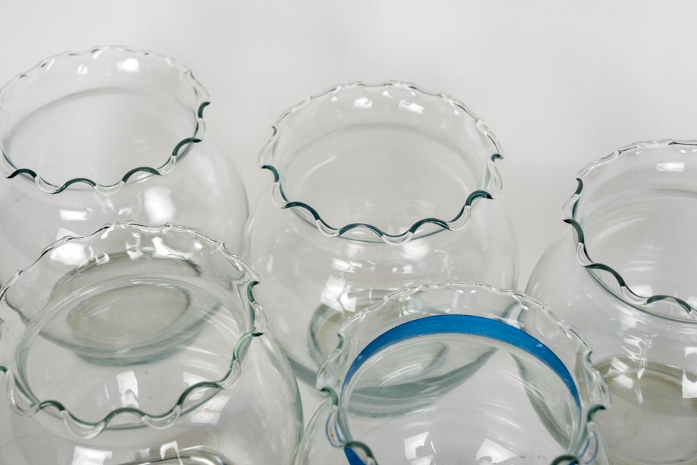 Five Ruffle Neck Glass Vases