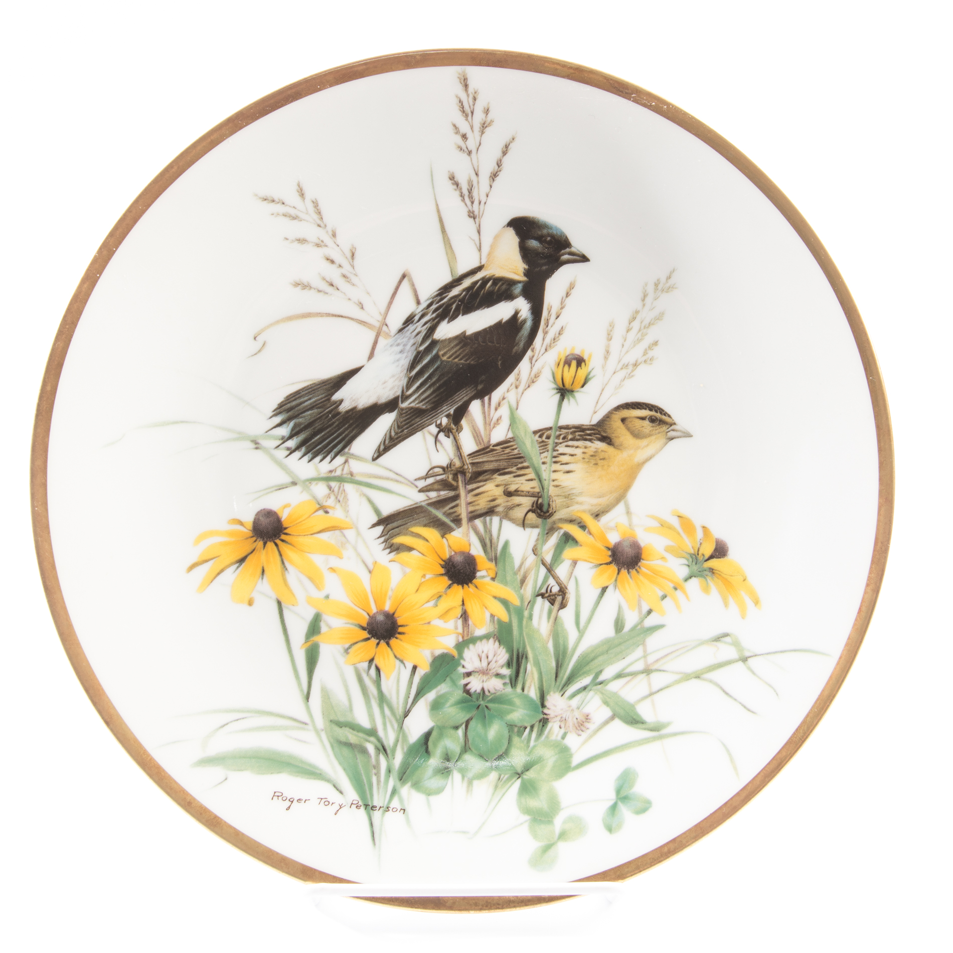 Aviary China Collection Including Hutschenreuther