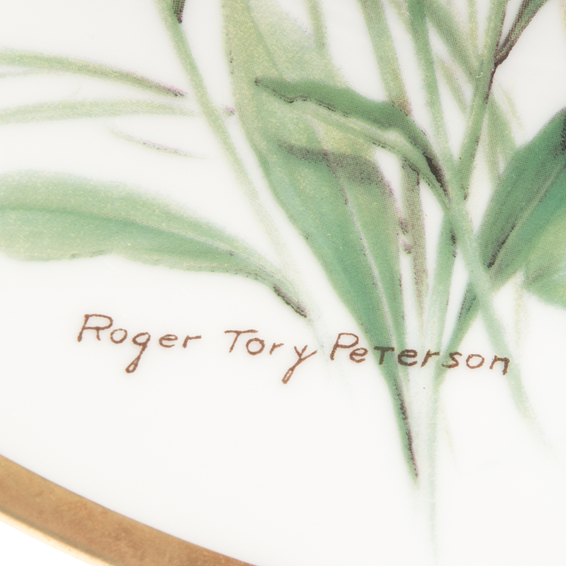 Aviary China Collection Including Hutschenreuther