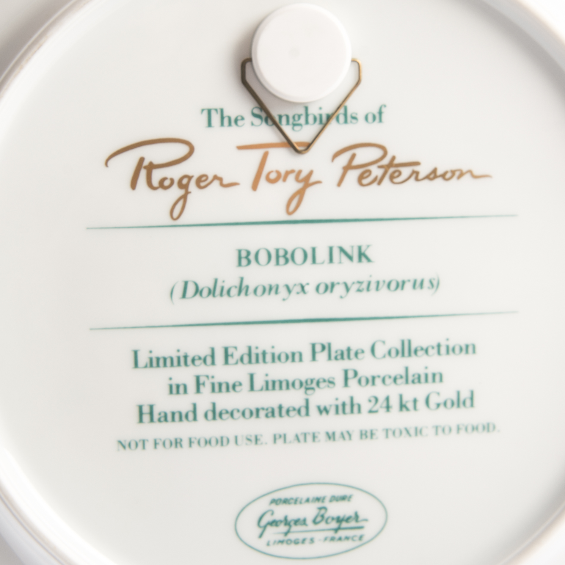 Aviary China Collection Including Hutschenreuther