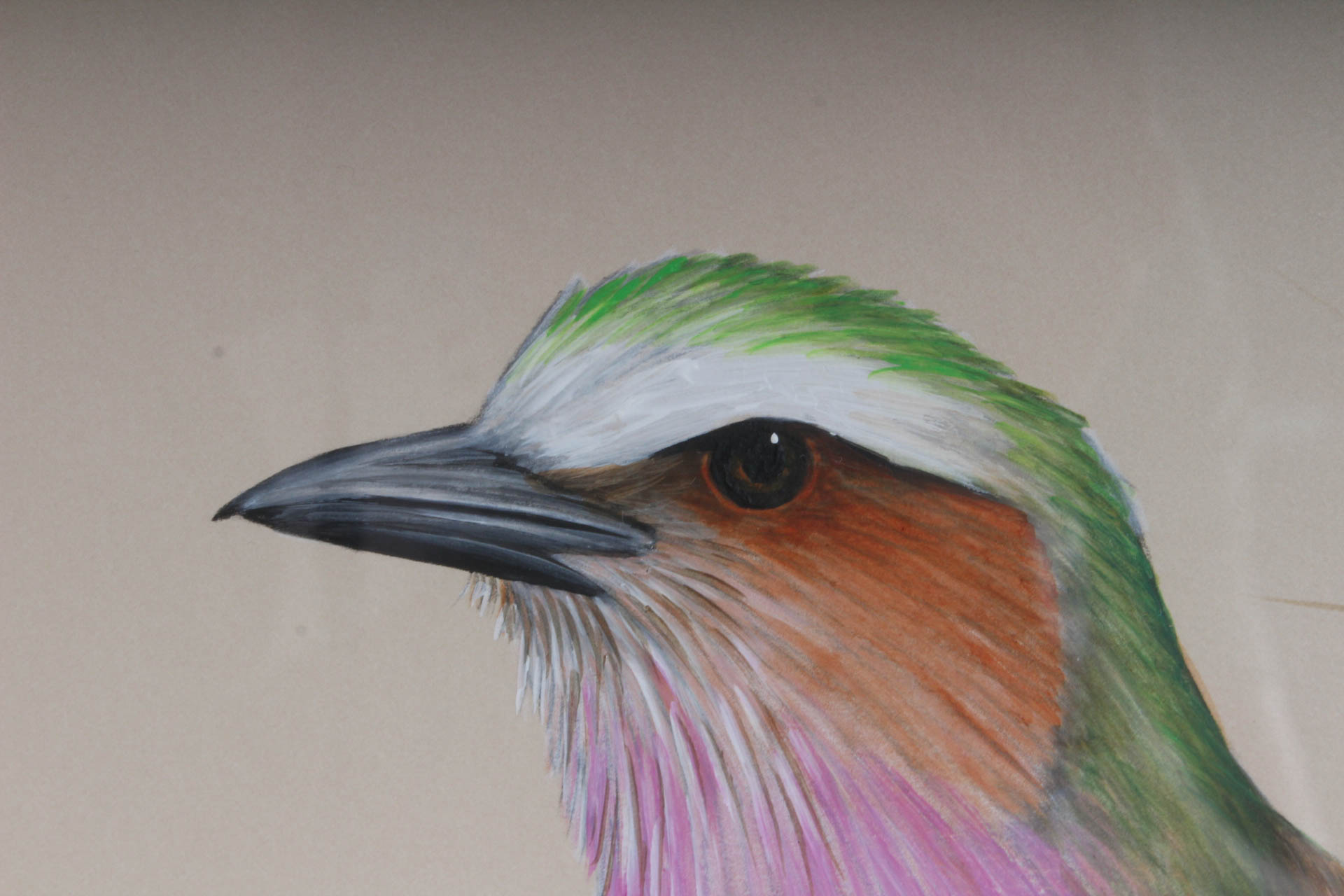 David Cubbins Original Wildlife Painting