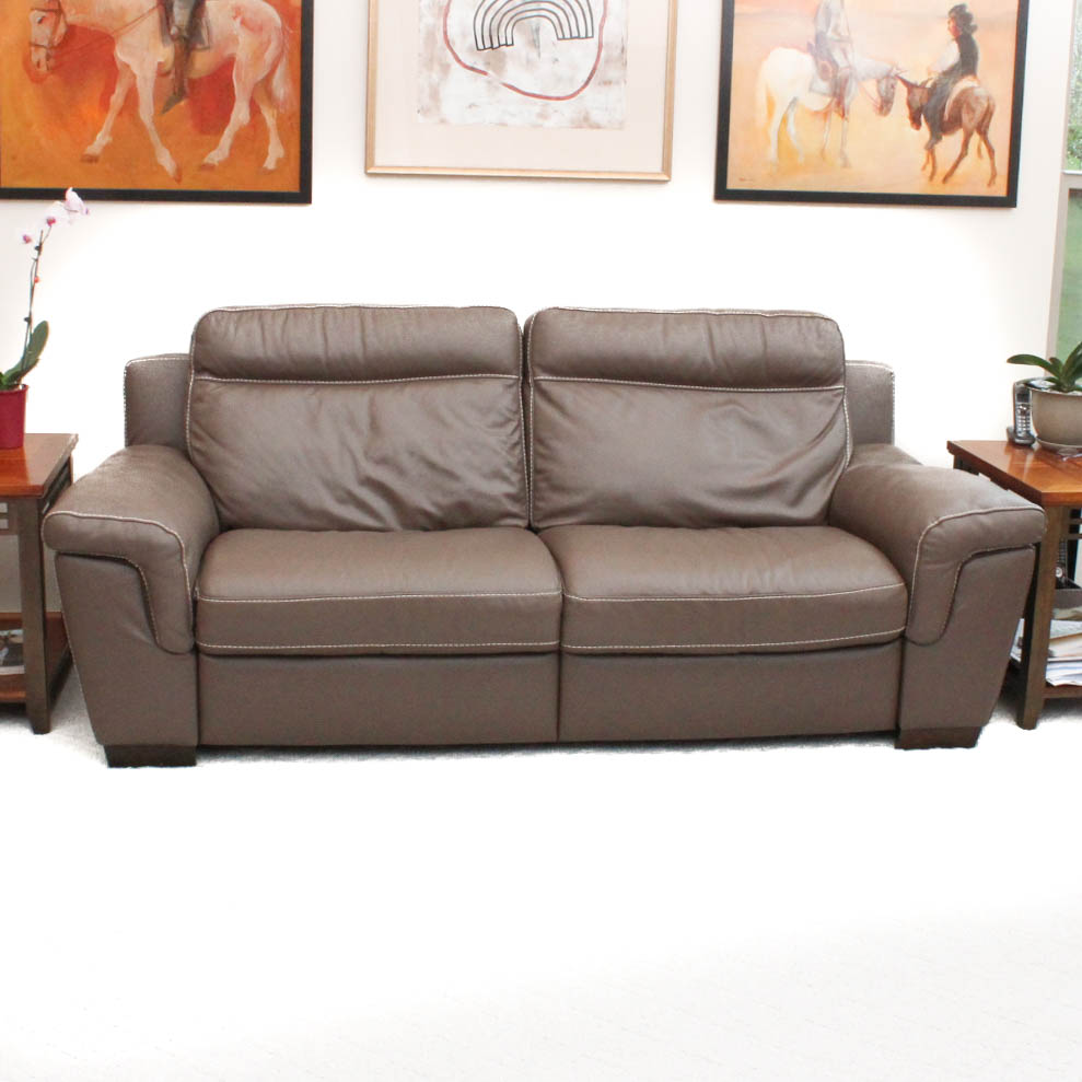 Electric Leather Sofa