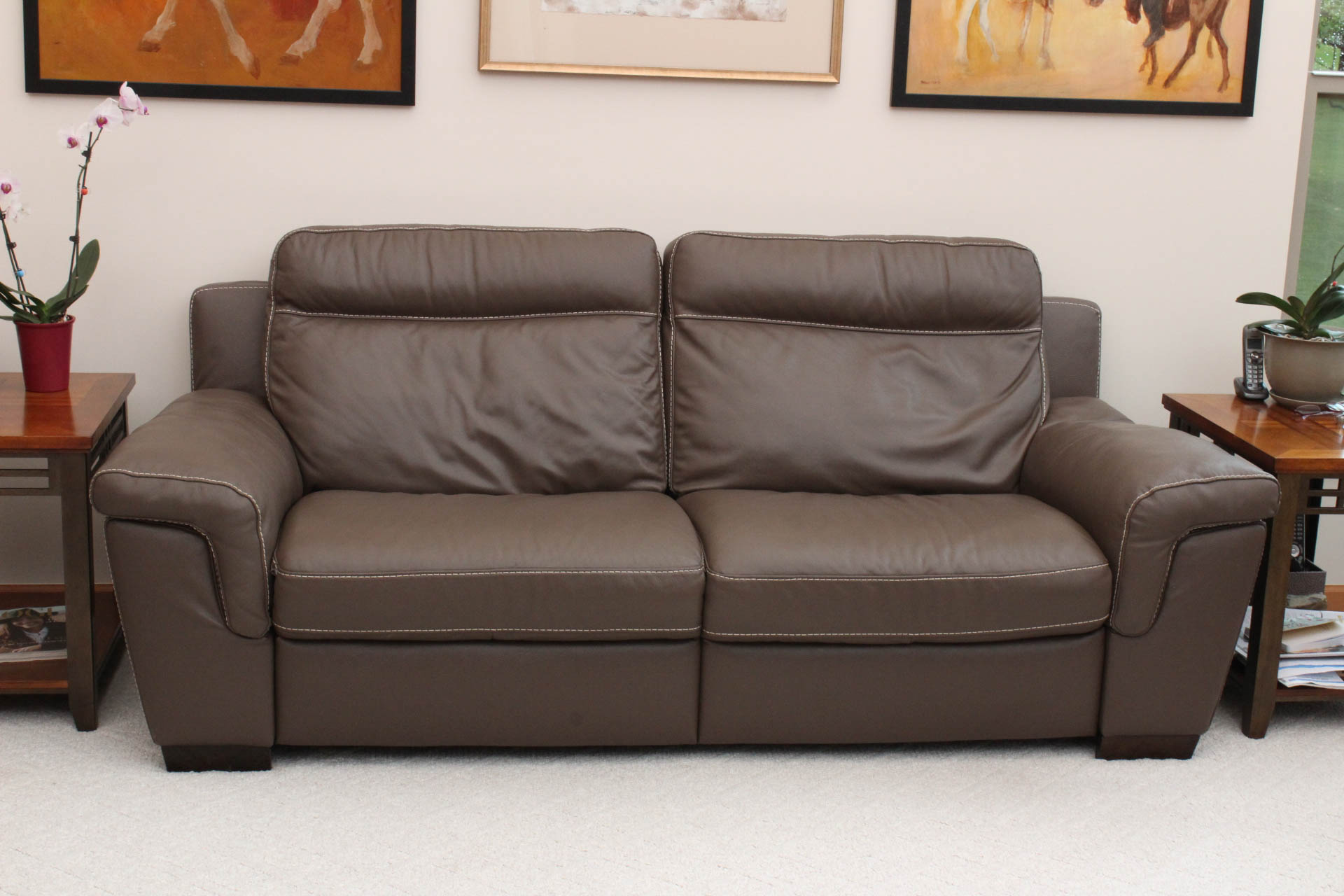 Electric Leather Sofa