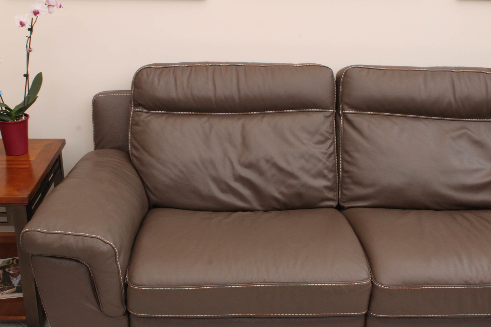 Electric Leather Sofa