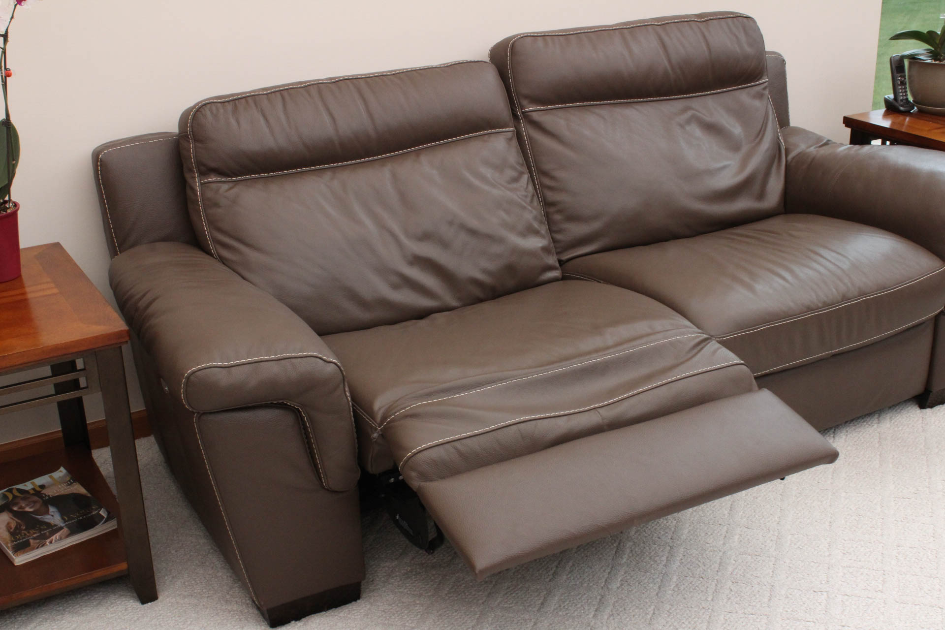 Electric Leather Sofa