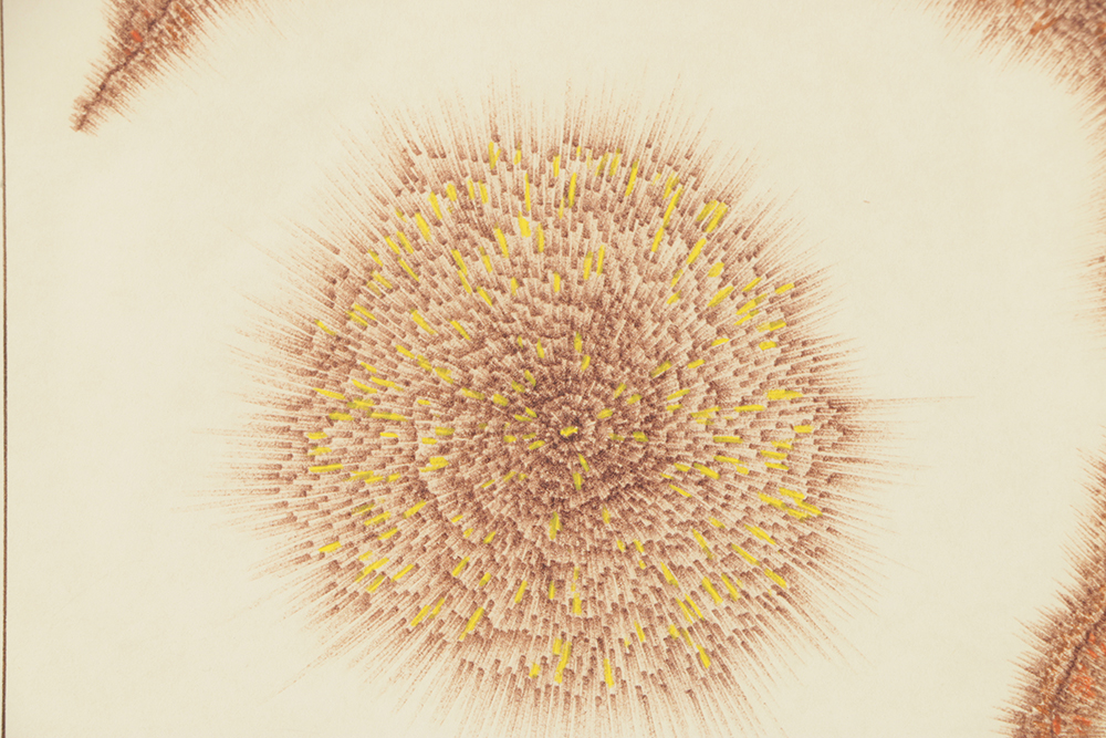 Don Pearl Ink Drawing on Paper with Gouache of Abstract Forms