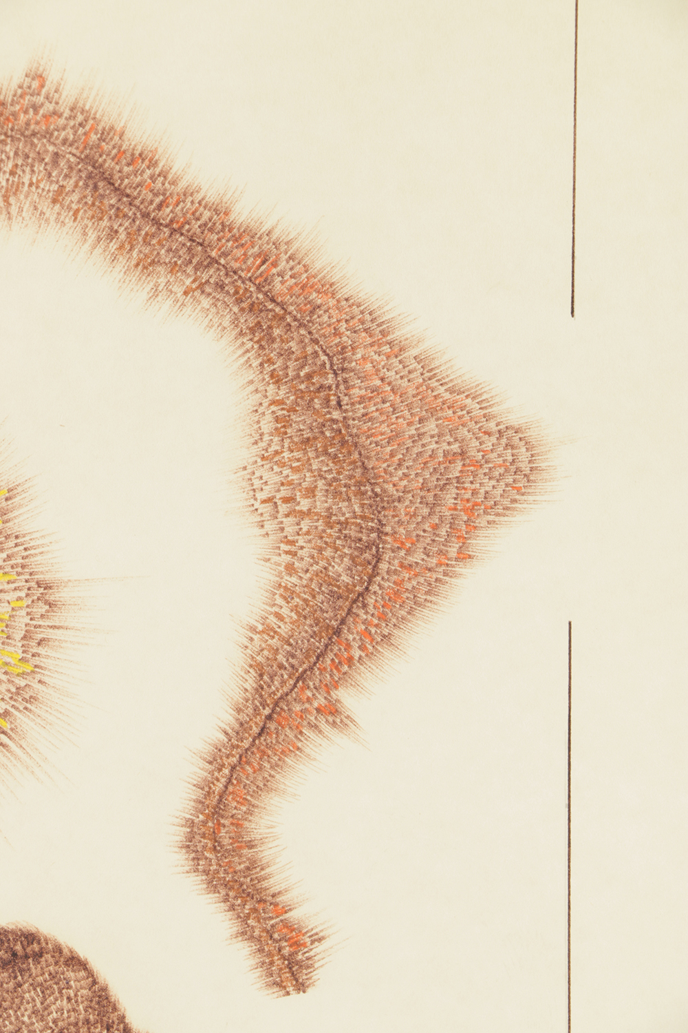 Don Pearl Ink Drawing on Paper with Gouache of Abstract Forms