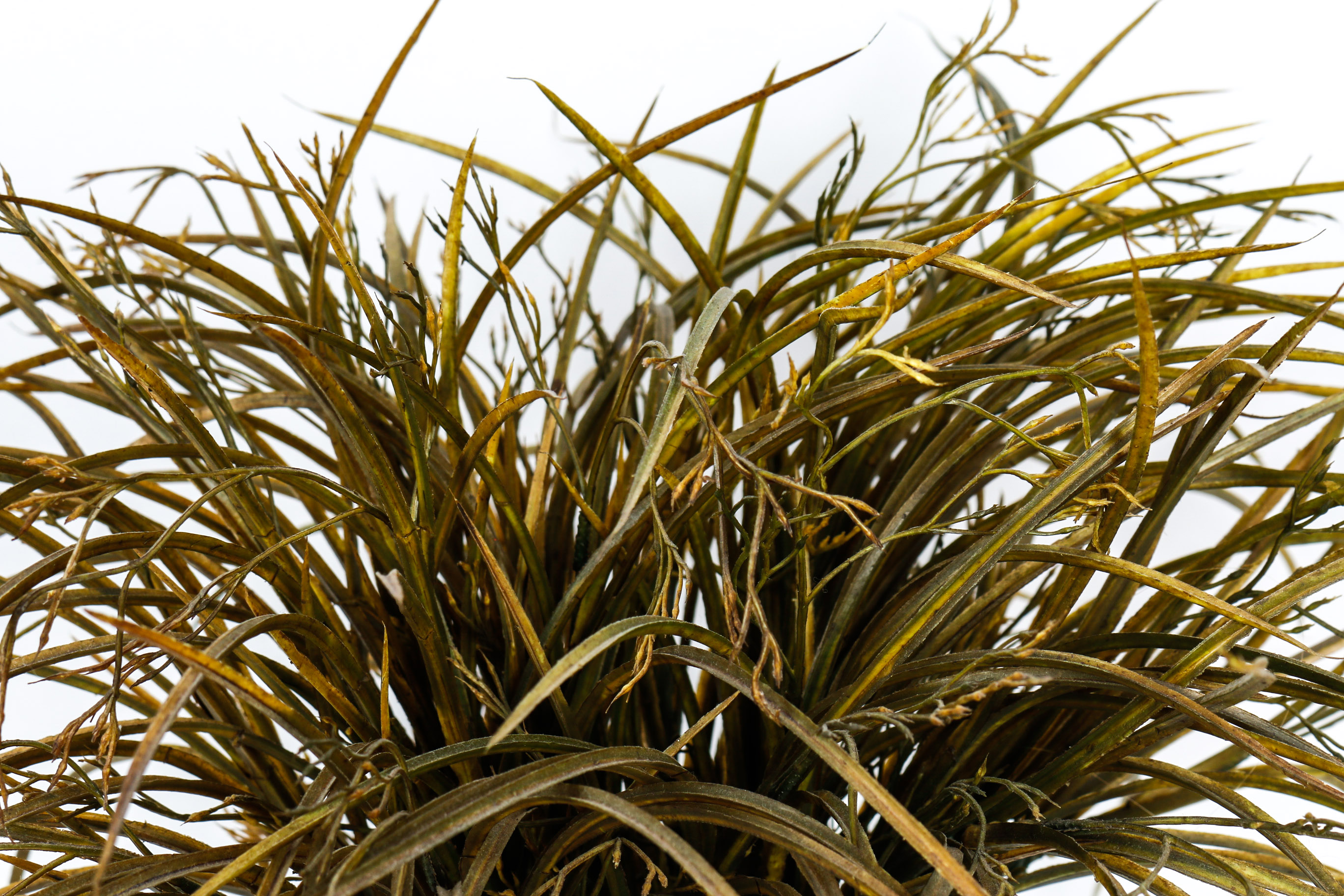 Grouping of Home Decor