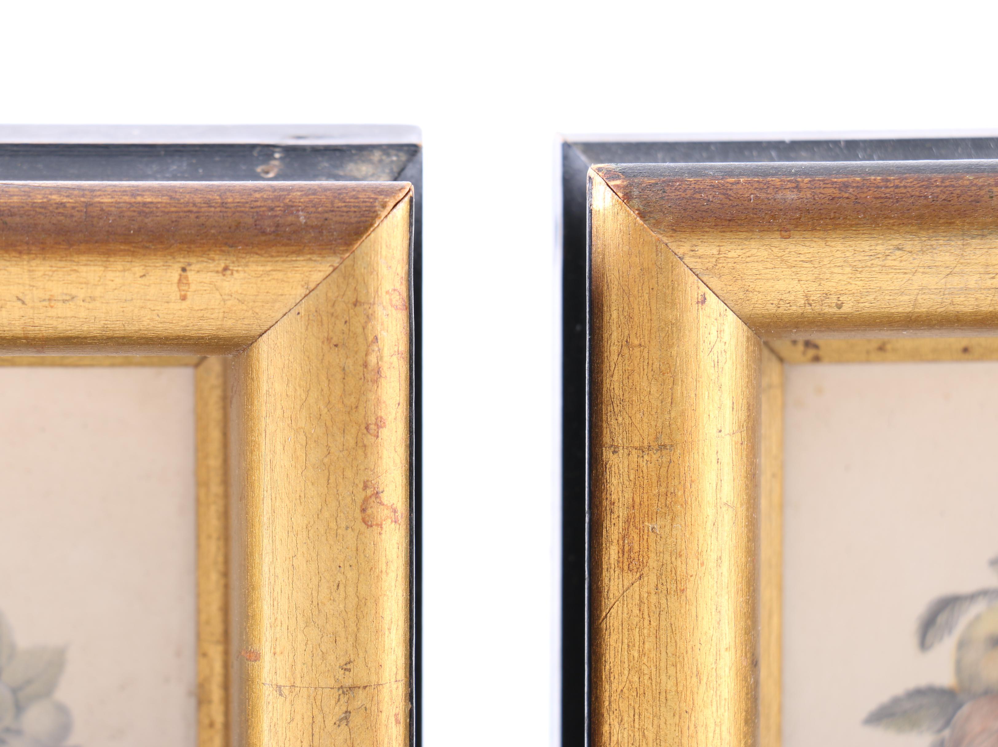 Vintage Botanical Still Life Lithographs on Paper