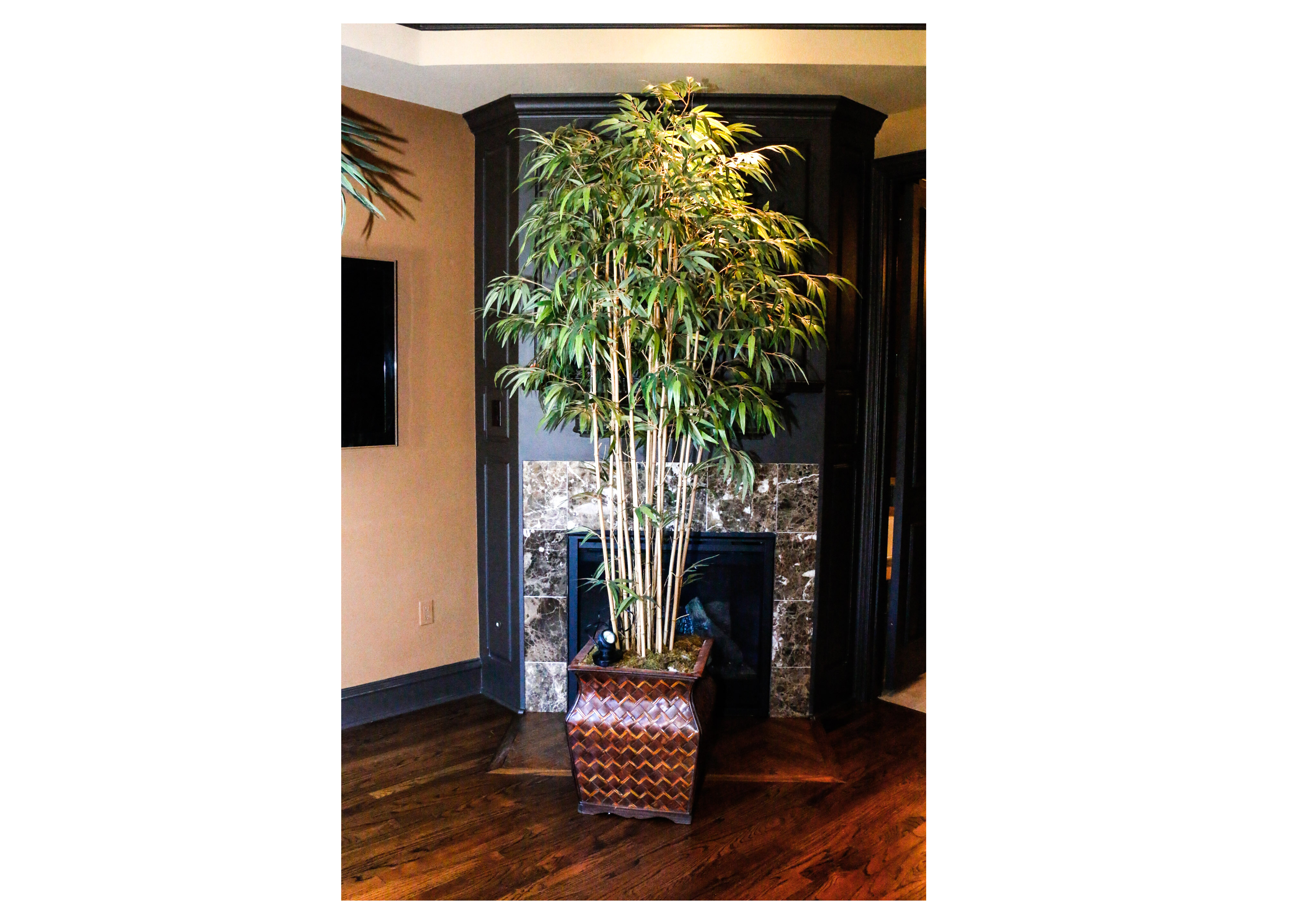 Large Potted Silk Bamboo Plant with Spotlight