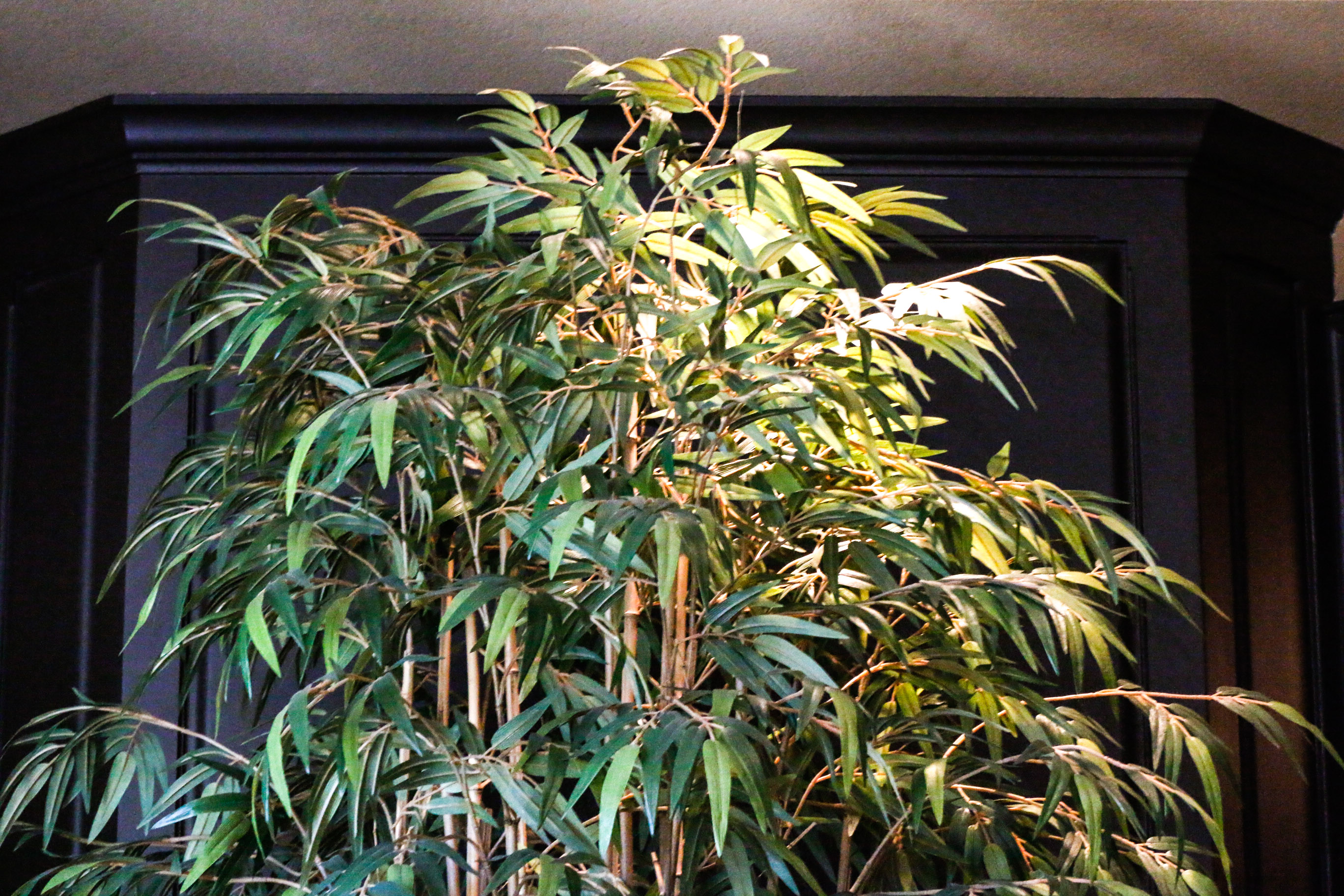 Large Potted Silk Bamboo Plant with Spotlight