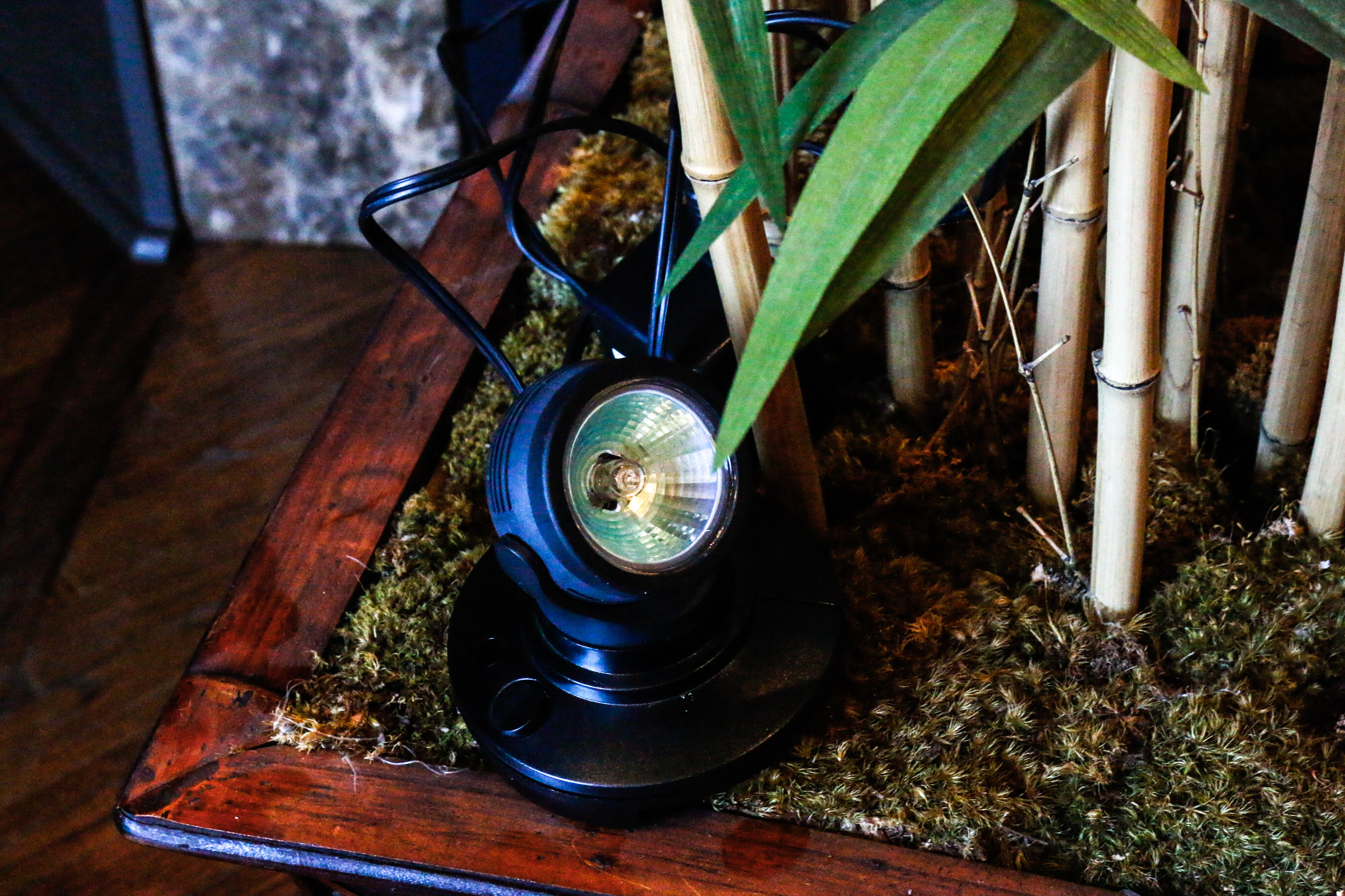 Large Potted Silk Bamboo Plant with Spotlight