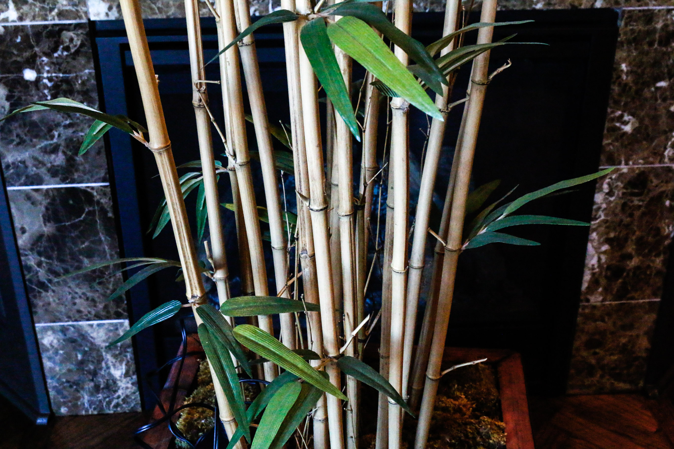 Large Potted Silk Bamboo Plant with Spotlight