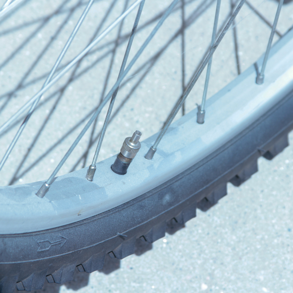 Nishiki Bravo Bicycle