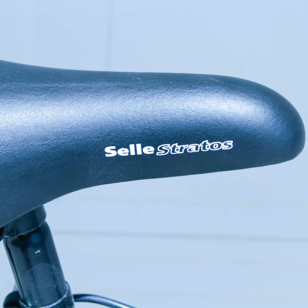 Nishiki Bravo Bicycle