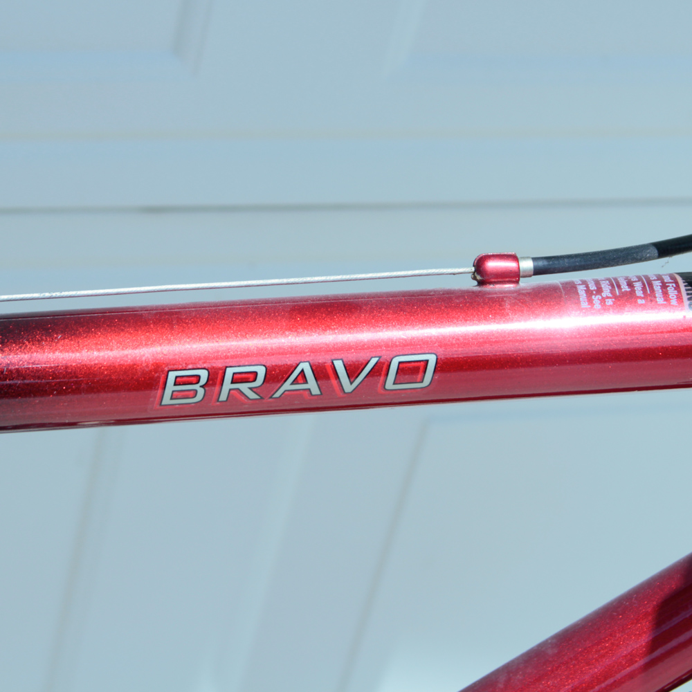 Nishiki Bravo Bicycle