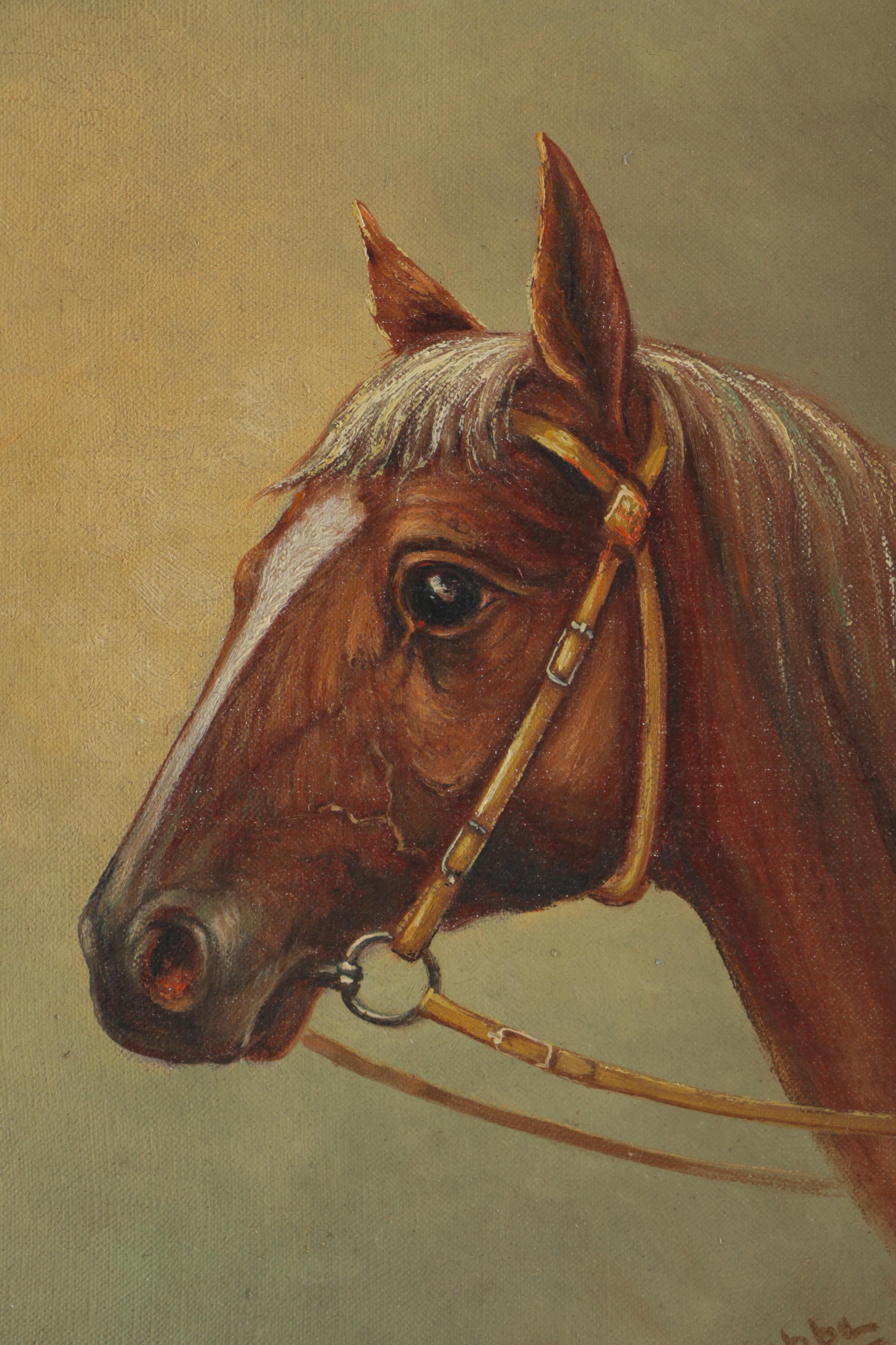 D. Kubba Original Oil Painting of a Horse