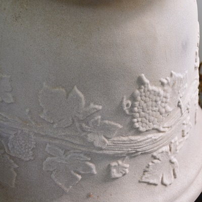 Live Potted Ferns and Pots