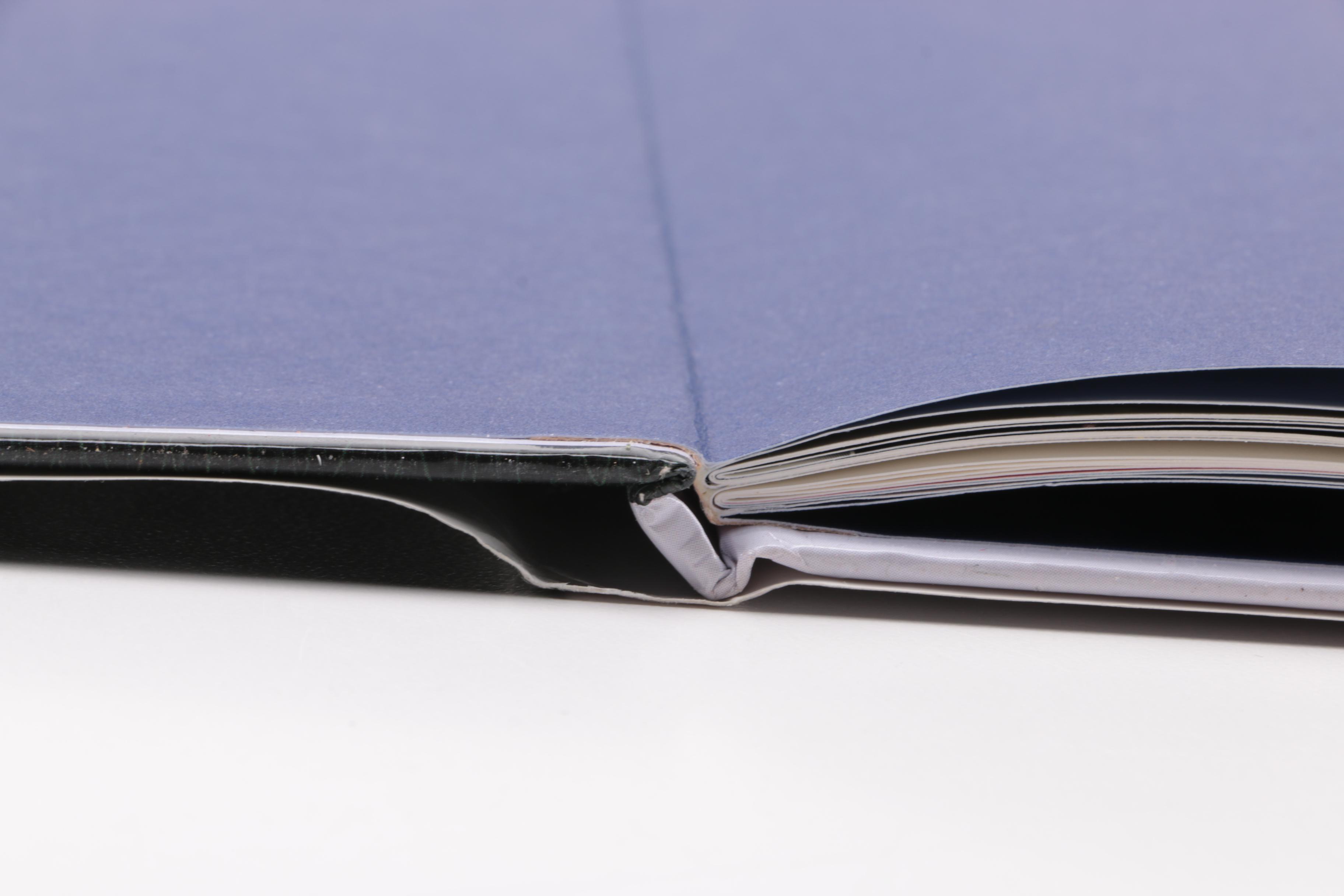 Signed Children's Books Including Jimmy Fallon "Your Baby's First Word Will Be DADA"