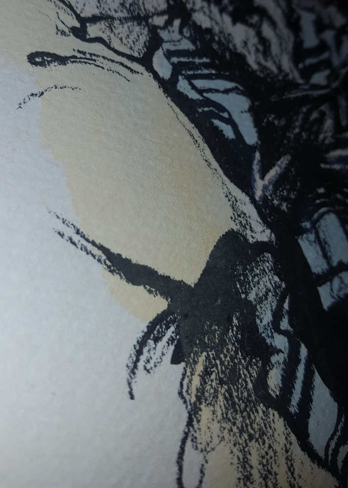 B. Rozner Lithograph of a Rabbi