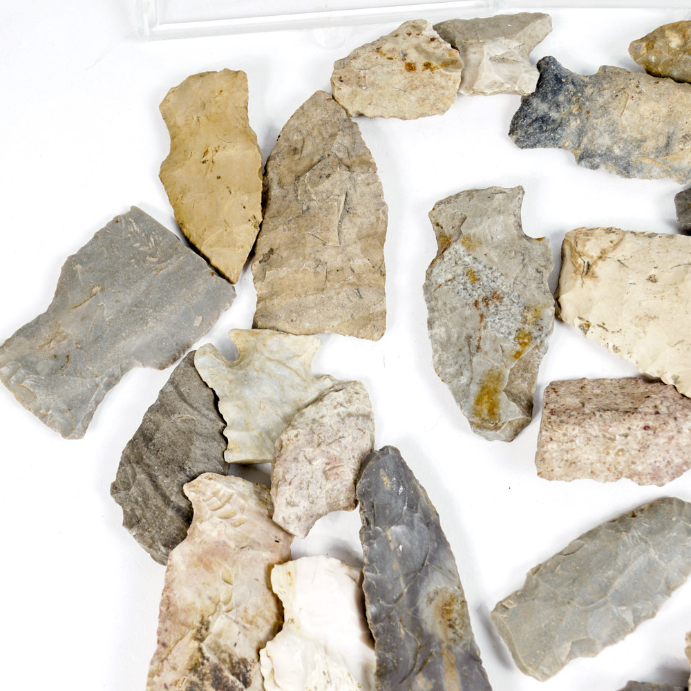 Rock Specimen, Fossil, and Polished Stone Collection