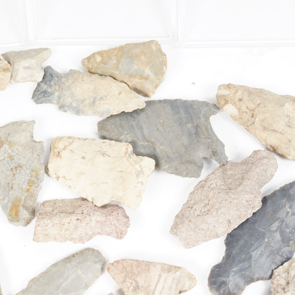 Rock Specimen, Fossil, and Polished Stone Collection