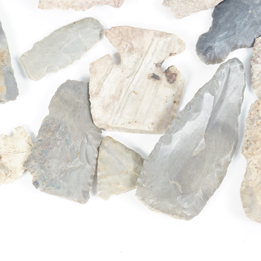 Rock Specimen, Fossil, and Polished Stone Collection