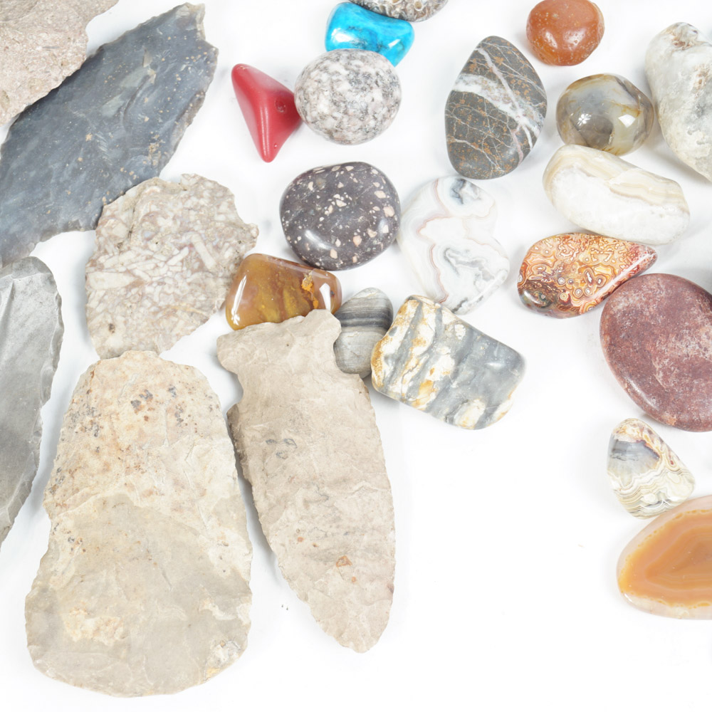 Rock Specimen, Fossil, and Polished Stone Collection