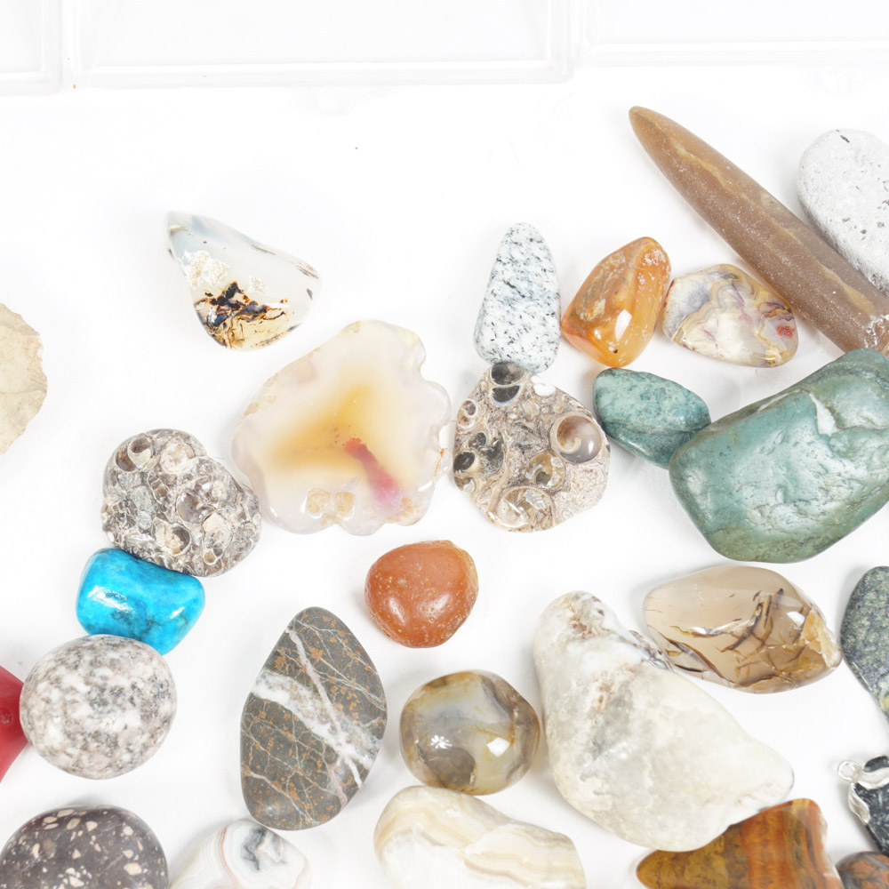 Rock Specimen, Fossil, and Polished Stone Collection