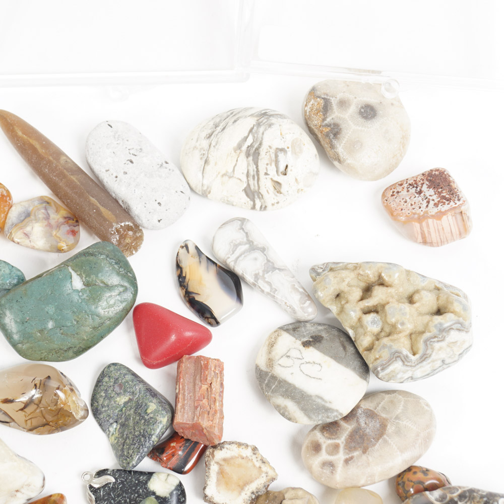 Rock Specimen, Fossil, and Polished Stone Collection