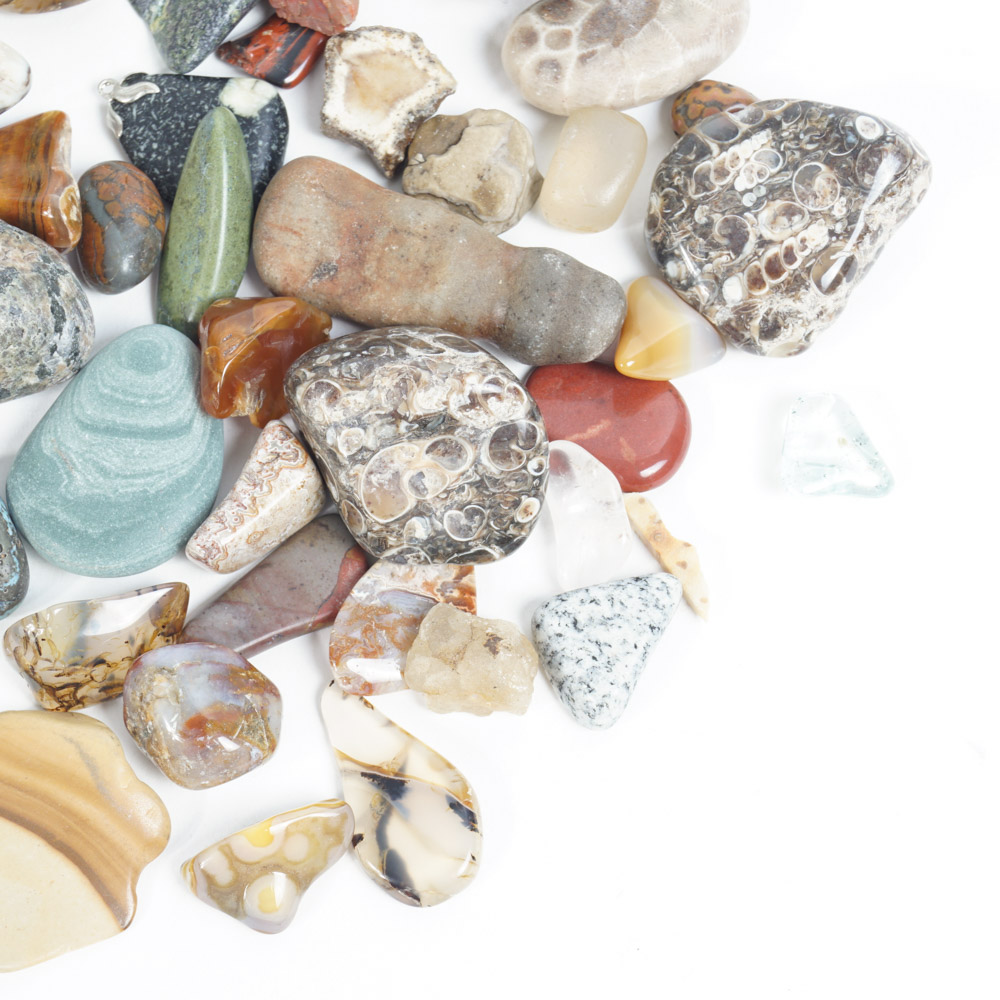 Rock Specimen, Fossil, and Polished Stone Collection