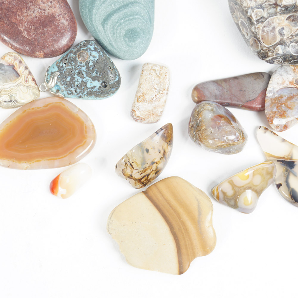 Rock Specimen, Fossil, and Polished Stone Collection